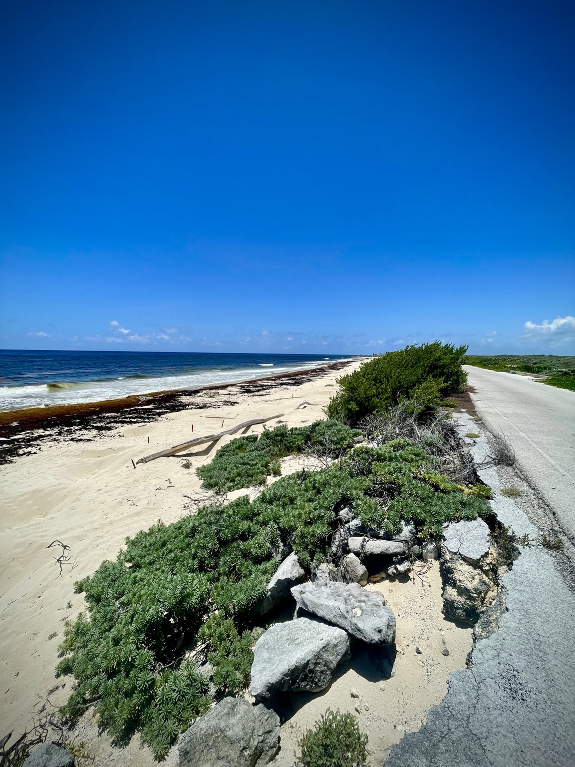 Cozumel's wild east coast beach.